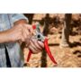 Carbide Sharpening Tool – Corona – 5″